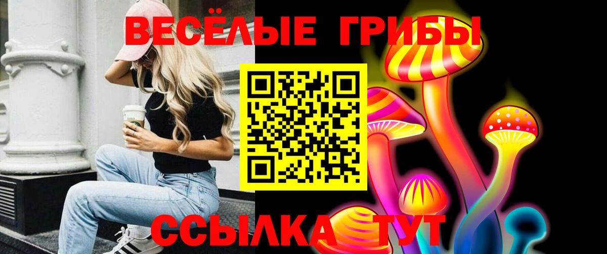 Псилоцибиновые грибы прущие грибы  где купить наркоту  Рубцовск  Вход с VPN 